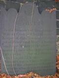 image of grave number 141410
